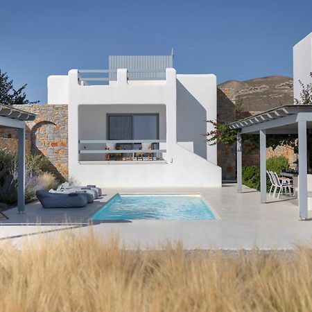 Villa Dione, Private Pool & Seaview By Naxos Dunes Kastrákion Εξωτερικό φωτογραφία